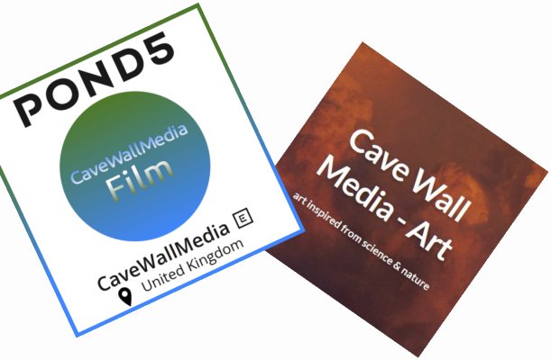 pond5 and cavewallmedia-art shops twin images